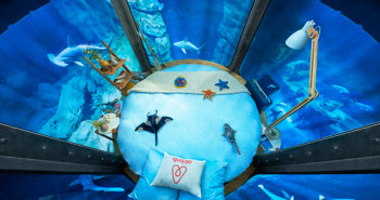 Dueme entre tiburones en París